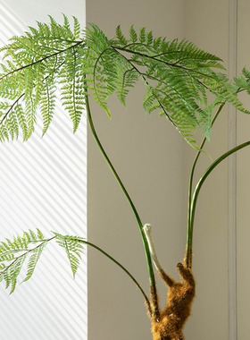 Na家花房仿真绿植金丝猴头蕨