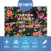 Surfcuz mẹ và con gái mô hình quần bãi biển cô gái nhỏ hoa khô nhanh quần đi biển bên bờ biển ngày lễ quần short của phụ nữ nhanh khô - Quần bãi biển 	mua quần áo đi biển Quần bãi biển