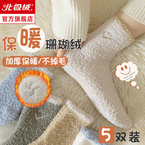 Socks & Socks Womens Midbarrel Socks Pure Cotton Plus Suede Thickened Coral Socks Pure Color Moon Socks Postnatal Autumn Winter stockings