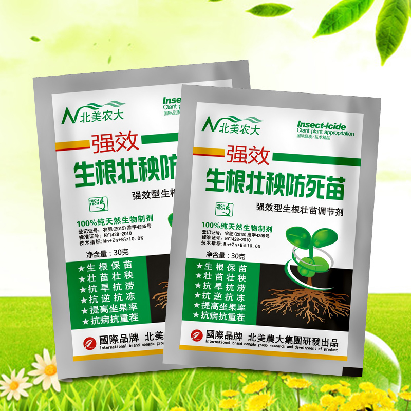 生根壮秧防死苗叶面肥保苗壮苗壮秧抗重茬生根壮苗剂花卉植物通用 - 图2