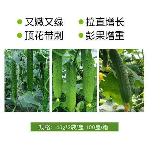 黄瓜嫩直拉长增绿特效素黄瓜嫩直长保花保果叶面肥速效生长调节剂 - 图1