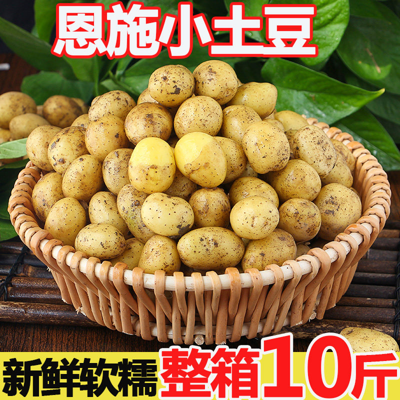 恩施新鲜小土豆10斤包邮土豆农产品黄心马铃薯大蔬菜洋芋5香现挖
