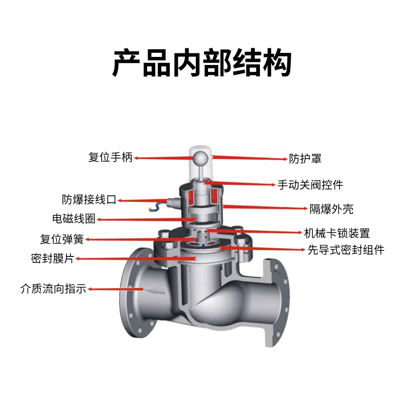 天然气燃气管道电磁式紧急切断阀门信安工业商用DN20/25/32/40/50-图2