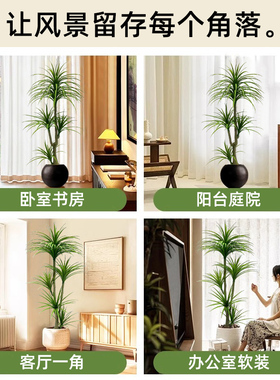 高端轻奢龙血树室内大型落地盆栽仿真绿植客厅植物摆件假树假花