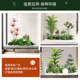Simulated green plant landscaping combination indoor entrance