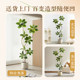 Simulated green plants and golden banyan trees for high-end light luxury customers