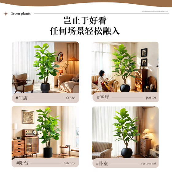 Simulated green plant Ficus fiddleleaf ficus high-end realistic living room