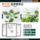 Simulated fake green plant flower box landscaping high-end light luxury