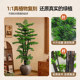 Fake green plants decoration simulates welcoming pine trees indoors