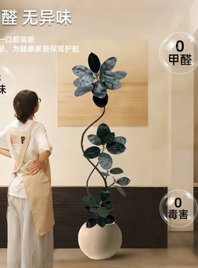 高级仿生绿植摆件仿真黑金刚