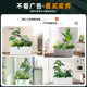 Simulated fake green plant flower box landscaping high-end light luxury