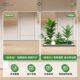 Simulated plant landscaping balcony view room
