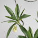 New Chinese style simulated floral immortal moss basin