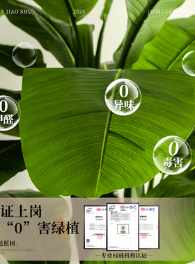 大型仿真绿植大叶子芭蕉树装饰仿生绿植室内造景高端植物假树摆件