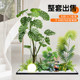 Simulated green plant landscaping combination window decoration indoor landscape landscaping under the stairs courtyard layout entrance fake plants