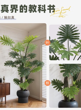 直播间绿植背景装饰摆件仿真绿植