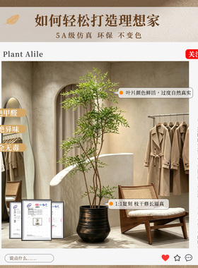 仿真绿植南天竹室内客厅电视柜高级感仿生中古风植物落地盆栽装饰