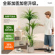 Simulated green plant Dracaena, high-end light luxury interior decoration, large floor-standing ornaments, fake trees, fake flowers, large potted plants