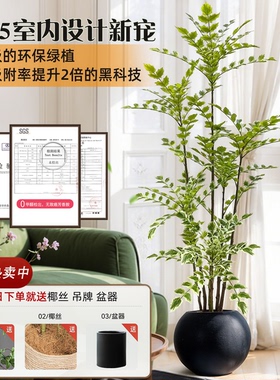 仿真植物电视柜落地盆栽室内大型仿生绿植摆件客厅轻奢装饰花假树