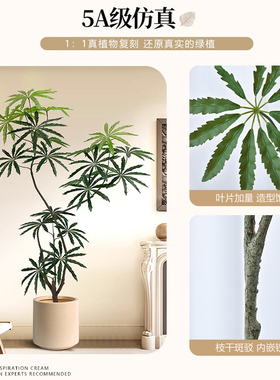 孔雀木仿真绿植高端大气客厅摆件