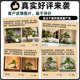 Simulated green plant landscaping combination welcoming pine