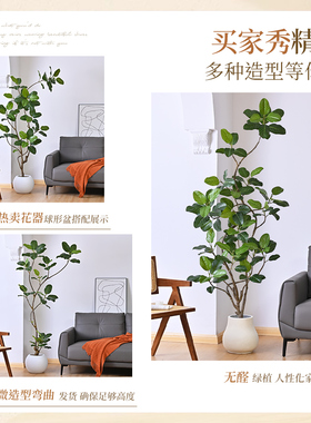 高山榕仿真绿植孟加拉榕