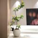 Golden tree simulated green plant high-end light luxury bionic flower living room large indoor potted ornaments decorative tree fake plant