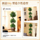 Simulated spherical green plant Banyan tree high-end light luxury