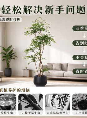 客厅轻奢南天竹落地仿真盆栽