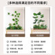 Simulated green plant potted landscaping traveler