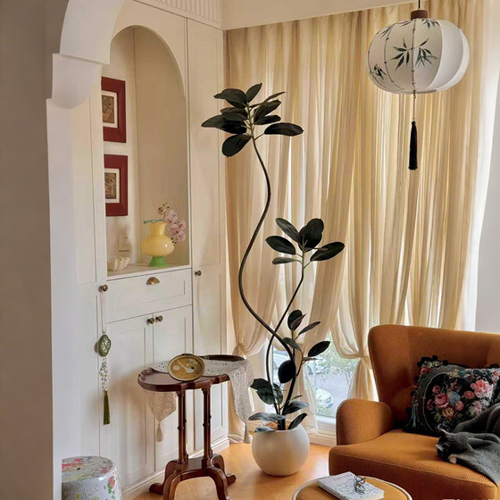 Simulated green plant black diamond rubber tree living room interior