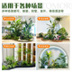 Simulated green plants, large indoor landscaping combination, under-stairs landscape, fake plants, landscape fake trees, potted plant decorations