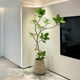 Elegant simulated green plants and large potted plants