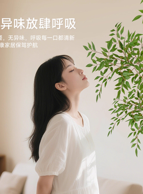 绿植仿真南天竹室内高级感