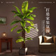 2025 large simulated large leaf banana tree decoration bionic green plant indoor landscaping high-end plant artificial tree ornaments