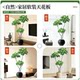 High-end light luxury simulated green plant large leaf umbrella interior decoration bionic plant large floor-standing potted living room ornaments