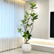 Elegant simulated green plants and large potted plants