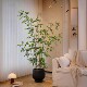 Bamboo large floor-standing potted plant simulated green plant decoration