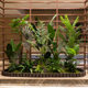 Simulated green plant landscaping combination window decoration fake plant landscaping courtyard layout entrance hall indoor atmosphere tree