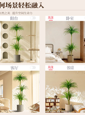 仿真绿植龙血树落地摆件