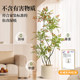 Nandina bamboo green plants, high-end simulated fake potted plants, living room landscaping, high-quality light luxury floor-standing green plants, mid-century style decoration