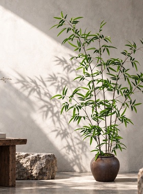 仿真假绿植竹子盆栽中式高端室内玄关茶室轻奢装饰植物树禅意摆件