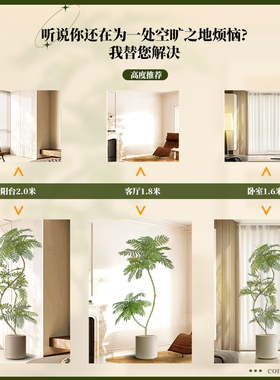5A级高品质高仿真蓝花楹氛围树