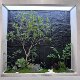 High-end simulated horse drunken wood display window landscaping