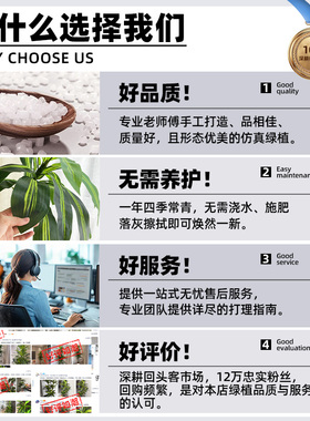 直播间绿植场景布置高级感
