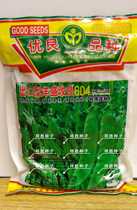 Vegetable farm special outlet type Fengsheng Improved 604 Dutch bean (454 gr) pods Dutch bean safflower high yield