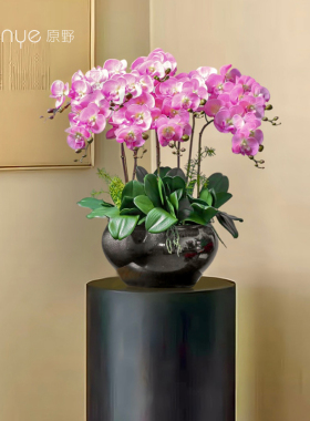 蝴蝶兰仿真花大型高档兰花