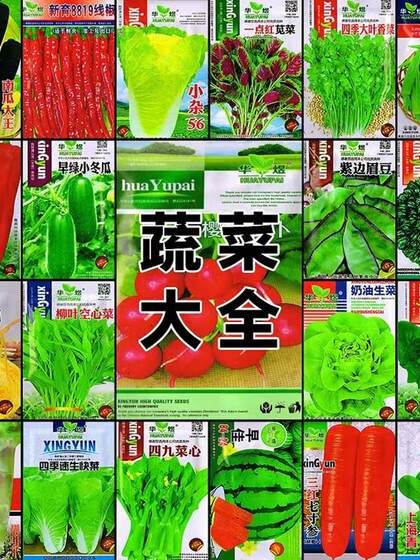 Vegetable seeds are sown all year round. it is easy to grow coriander, onions, lettuce, radish and cucumbers in potted plants on the family balcony and in the courtyard.