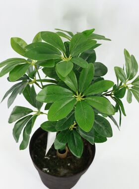 七星叶单枝仿真植物客厅绿植工程发财叶鸭掌木七叶莲假发财树厂家