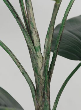 北欧仿真花叶橡皮树绿萝室内落地假绿植酒店样板间造景仿真树现货